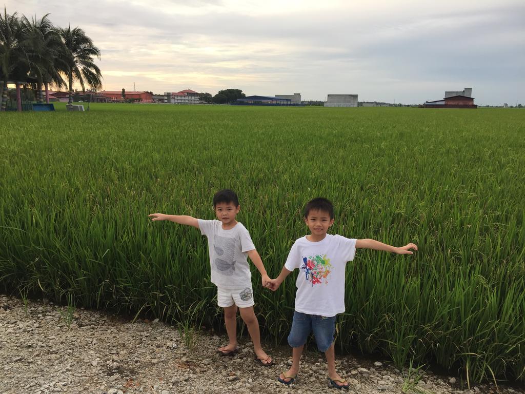 Sea View Homestay Sekinchan Luaran gambar